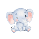 Daxiang Paid VPN, 大象付费翻墙机场