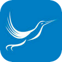 Fengniao , 小巧灵活的鸟类付费翻墙机场